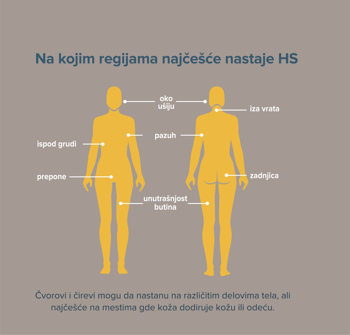 regije hs1